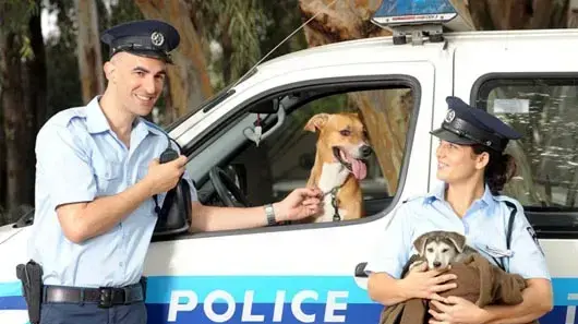 משטרת בעלי החיים של כפר סבא משטרת בעלי החיים של כפר סבא