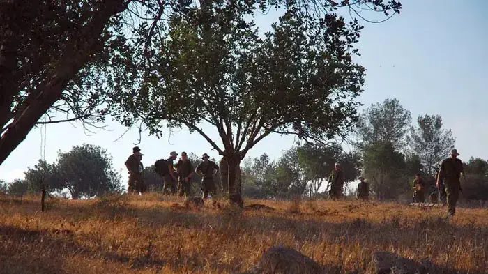 חיפושים אחרי החייל הנעדר ביער חרובית חיפושים אחרי החייל הנעדר ביער חרובית