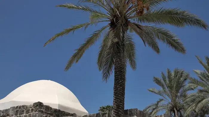 חמי טבריה חמי טבריה