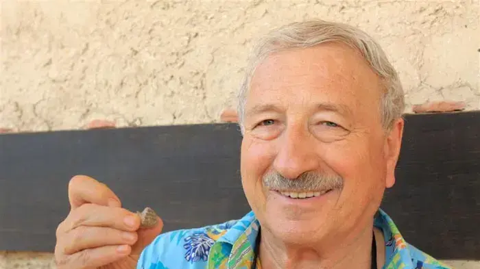 תגלית ארכיאולוגית חוקי חמורבי תגלית ארכיאולוגית חוקי חמורבי