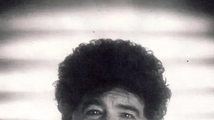 הנצחה טלוויזיונית. מאיר אריאל הנצחה טלוויזיונית. מאיר אריאל