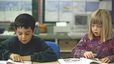 תלמידים בבית הספר ( אילוסטרציה ) תלמידים בבית הספר ( אילוסטרציה )