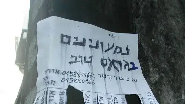 גראס