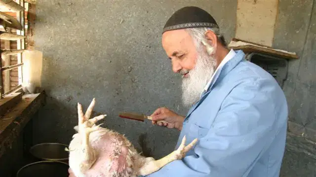 מתוך הסרט "התליין" מתוך הסרט "התליין"