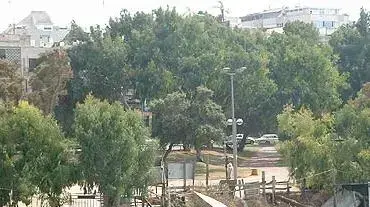 נחל הירקון (עופר אדרת) נחל הירקון (עופר אדרת)