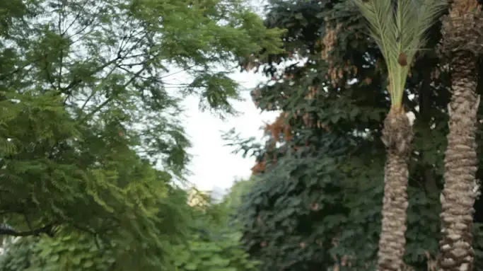 אוניברסיטת בר אילן אוניברסיטת בר אילן
