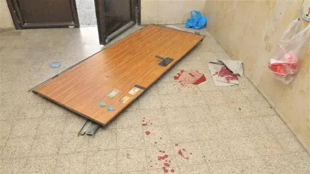 ילד בן שנתיים נמחץ למוות תחת דלת פלדלת, נובמבר 2010 ילד בן שנתיים נמחץ למוות תחת דלת פלדלת, נובמבר 2010