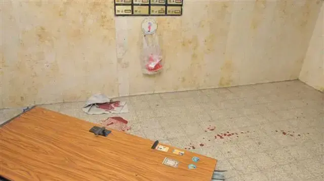 ילד בן שנתיים נמחץ למוות תחת דלת פלדלת, נובמבר 2010 ילד בן שנתיים נמחץ למוות תחת דלת פלדלת, נובמבר 2010