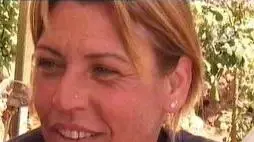 ויקי כנפו (ערוץ 10) ויקי כנפו (ערוץ 10)