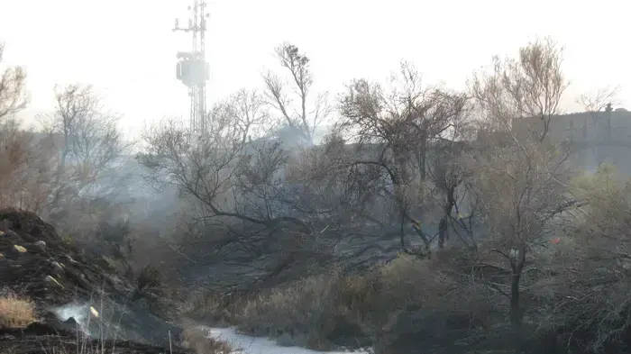 שריפה, בעתלית, נובמבר 2010 שריפה, בעתלית, נובמבר 2010