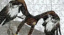 נשר