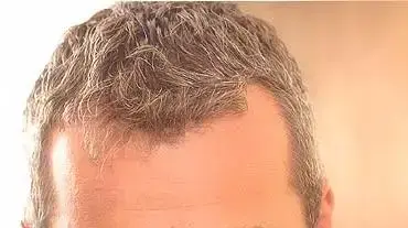 המופע של סטיב המופע של סטיב