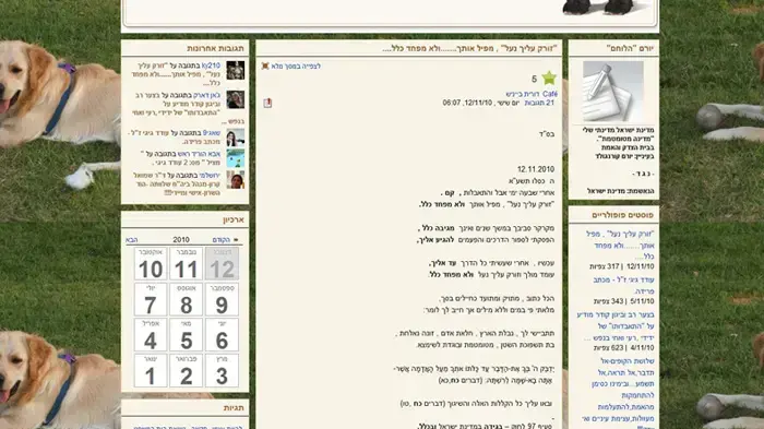 צילום מסך של פוסט בקפה דה מרקר התוקף את דורית ביניש צילום מסך של פוסט בקפה דה מרקר התוקף את דורית ביניש