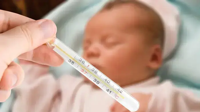 אילוסטרציה אילוסטרציה