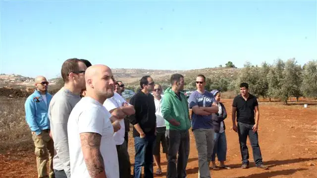 שפים מסיירים במטעי זיתים שפים מסיירים במטעי זיתים