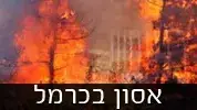 אסון בכרמל