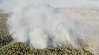 פותחים את הלב