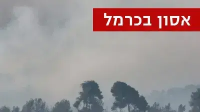 שריפה בכרמל, בוקר היום השני, דצמבר 2010 שריפה בכרמל, בוקר היום השני, דצמבר 2010