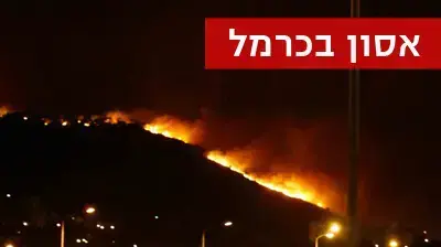 שריפה בכרמל, יום שישי לקראת ערב, דצמבר 2010