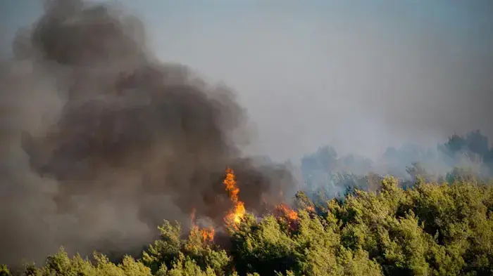 שריפת הענק בכרמל, יערות הכרמל, יום שבת שריפת הענק בכרמל, יערות הכרמל, יום שבת