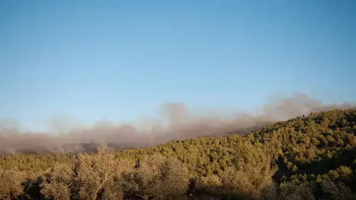 שריפת הענק בכרמל, יערות הכרמל, יום שבת שריפת הענק בכרמל, יערות הכרמל, יום שבת