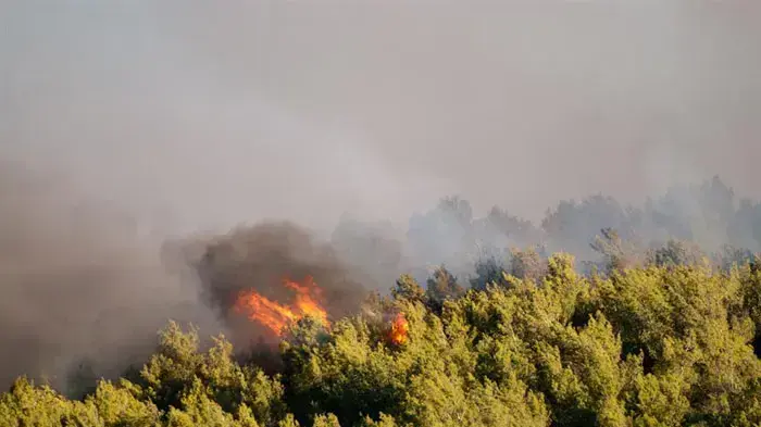 שריפת הענק בכרמל, עוספייה, יום שבת שריפת הענק בכרמל, עוספייה, יום שבת