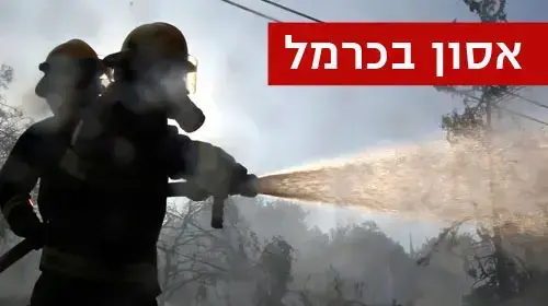 שריפה בכרמל, דצמבר 2010 שריפה בכרמל, דצמבר 2010