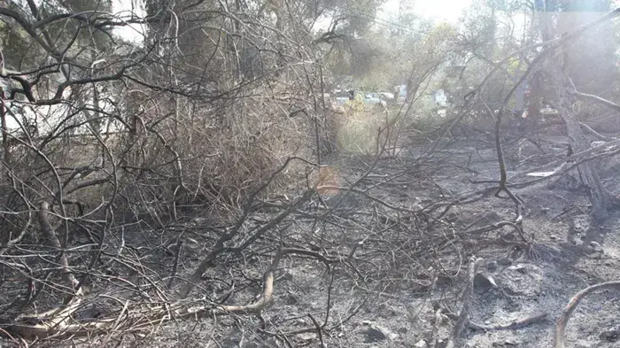 תוצאות שריפת הענק בכרמל, יום שני תוצאות שריפת הענק בכרמל, יום שני
