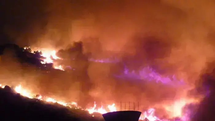 שריפה בכרמל, תמונות גולשים שריפה בכרמל, תמונות גולשים