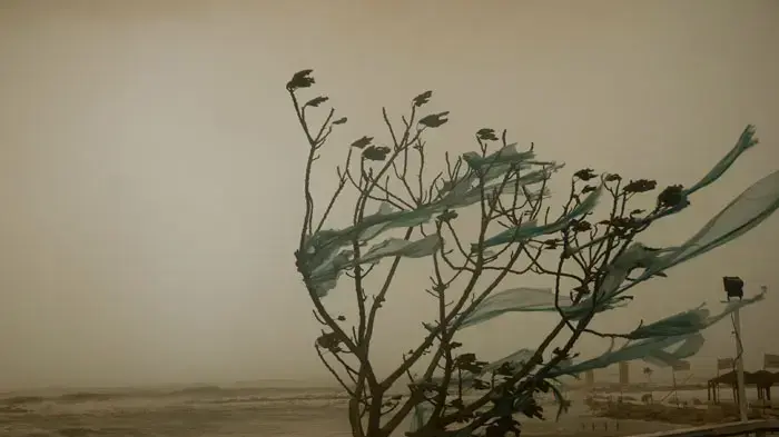 הסופה הראשונה של החורף, אזור המרכז, דצמבר 2010 הסופה הראשונה של החורף, אזור המרכז, דצמבר 2010