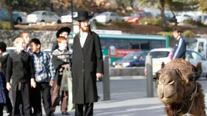הפגנה של השלטון המקומי בכניסה לירושלים, דצמבר 2010 הפגנה של השלטון המקומי בכניסה לירושלים, דצמבר 2010