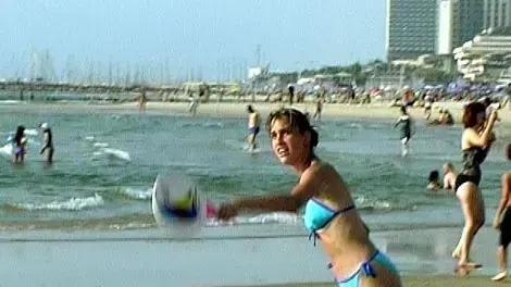 חוף הים חוף הים