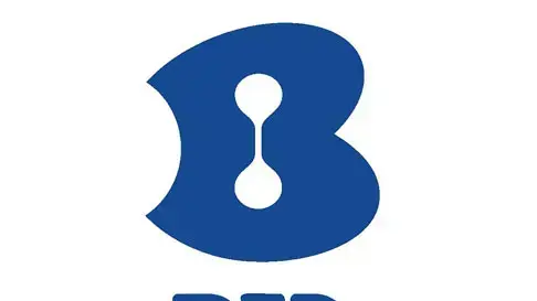 בזק, לוגו בזק, לוגו