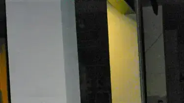 גרפיטי בתל אביב נגד ניסויים בבעלי חיים ותעשיית הפרוות גרפיטי בתל אביב נגד ניסויים בבעלי חיים ותעשיית הפרוות