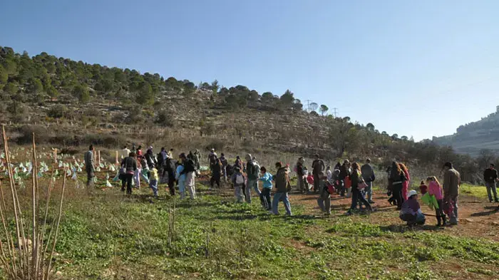 מטיילים בעינות תלם בפארק ירושלים מטיילים בעינות תלם בפארק ירושלים
