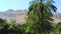 הגן הבוטני שבקיבוץ עין גדי הגן הבוטני שבקיבוץ עין גדי