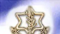 אילוסטרציה צהל אילוסטרציה צהל