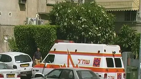 שחל שחל